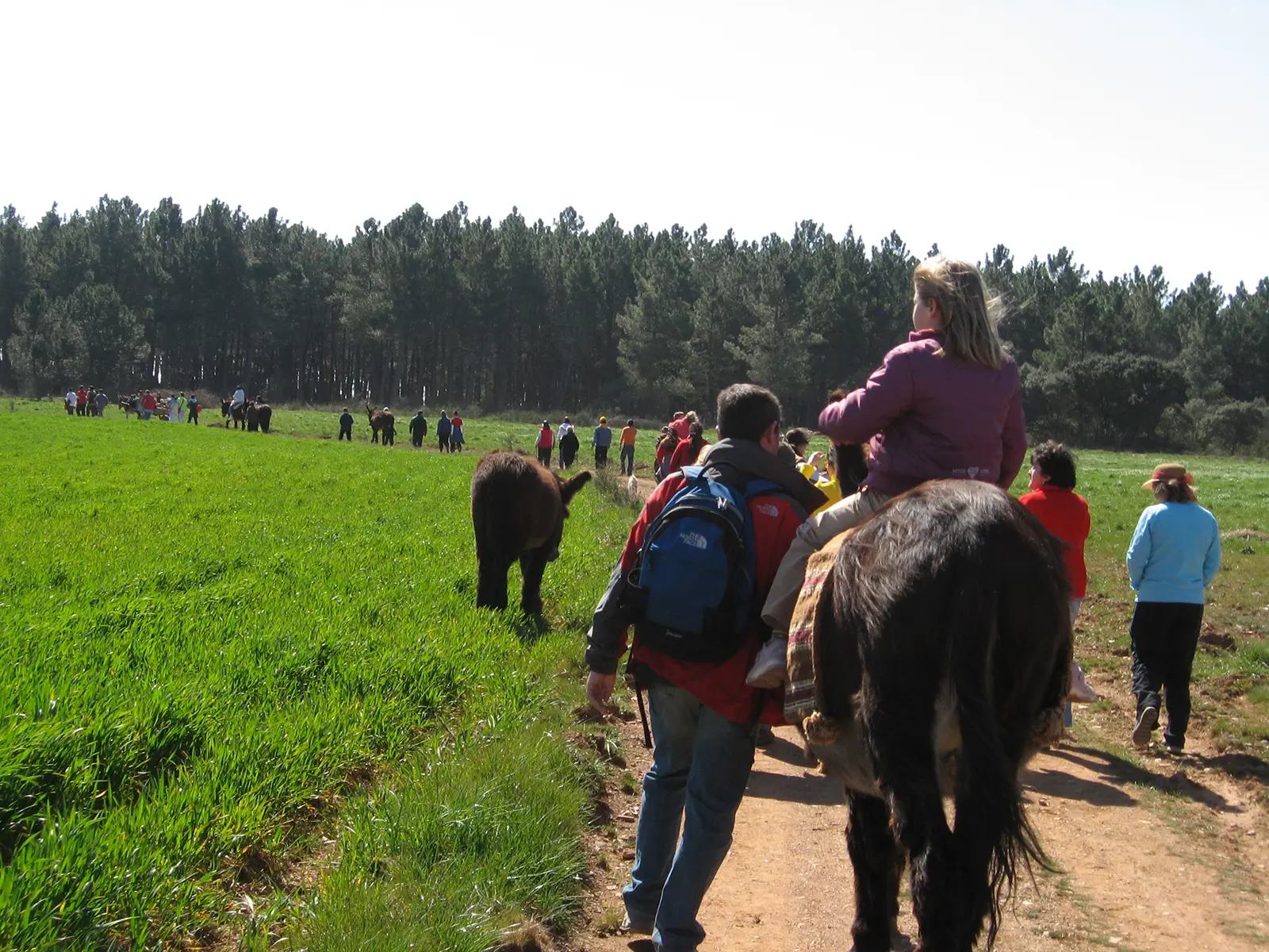 Große Eselwanderung im Rahmen des Zuchtkongresses in San Vitero